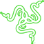 RAZER