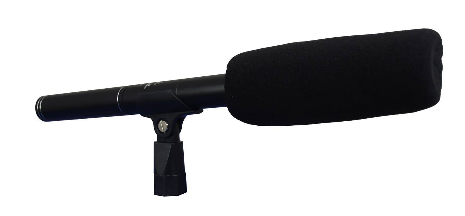 Zoom microphone with double capsule - Glemm DMC 943