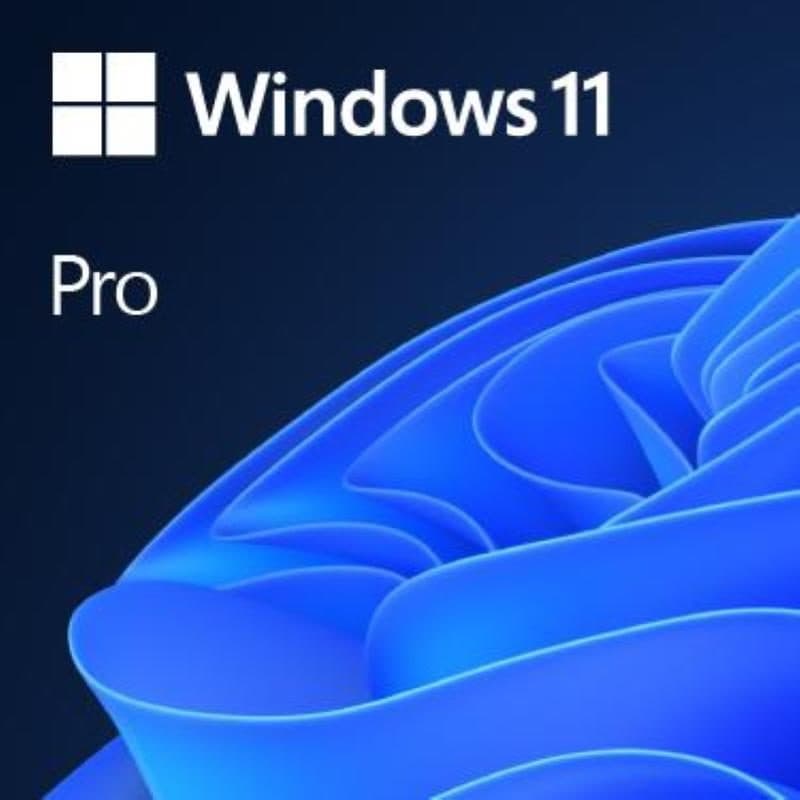 Software Windows 11 Pro FPP 64-bit in italiano su USB - Microsoft