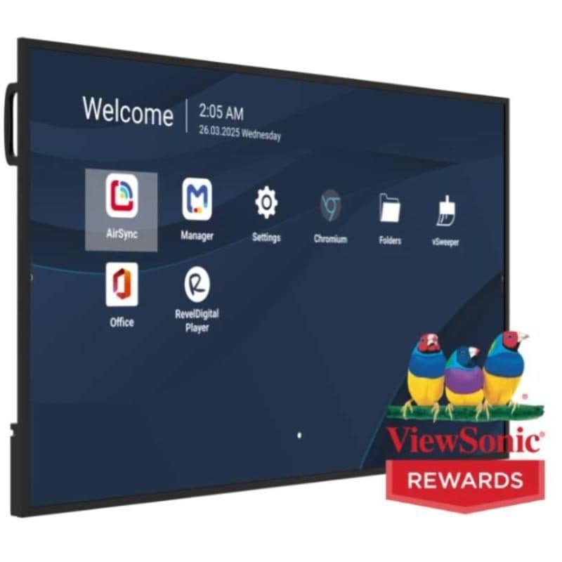Monitor professionale UHD 4K 500 nit 8GB 32GB Android 14 24/7 DVI HDMI VESA Power Delivery 65 W - ViewSonic 65DS