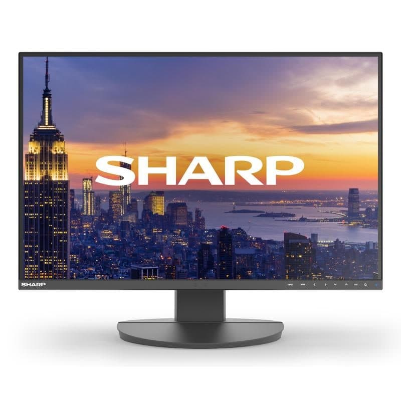 Monitor - Sharp/NEC MultiSync DD-EA242W