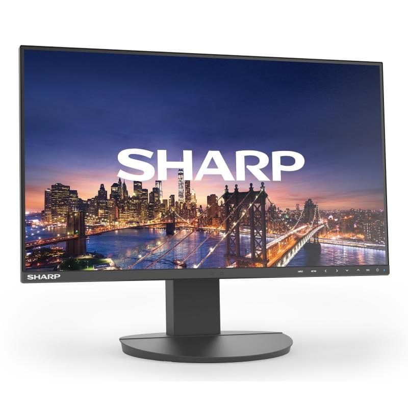 Monitor - Sharp Display Solutions MultiSync DD-EA242F