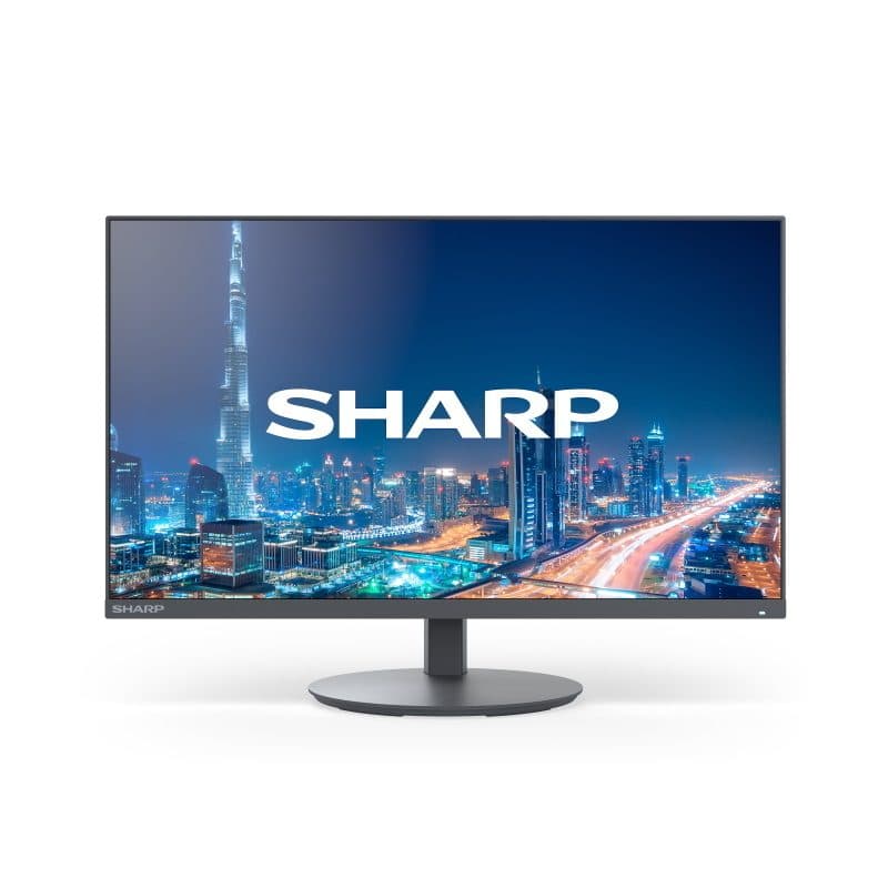 Monitor - Sharp Display Solutions MultiSync DD-E224F