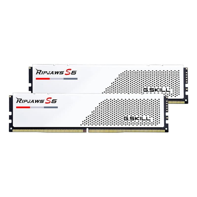 Memoria RAM 48GB (2 x 24GB) DDR5 6000 MHz - G.Skill F5-6000J3036F24GX2-RS5W