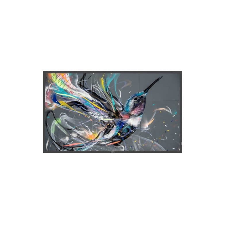 Monitor 65 pollici 4K per uso 18/7 - Philips Q-Line