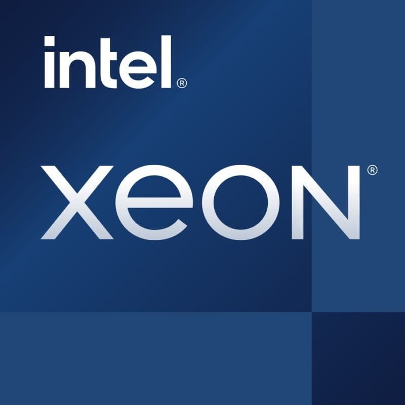 Processore 3,1 GHz 8 MB cache intelligente - Intel Xeon E-2324G