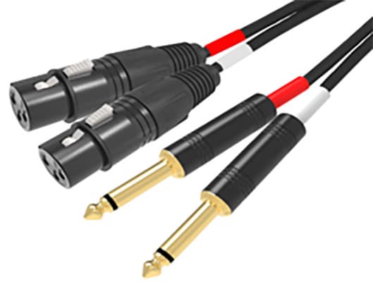 Cable 2 x XLR F / 2 x 6.3 mm - 3 m - RDM RDM C 93